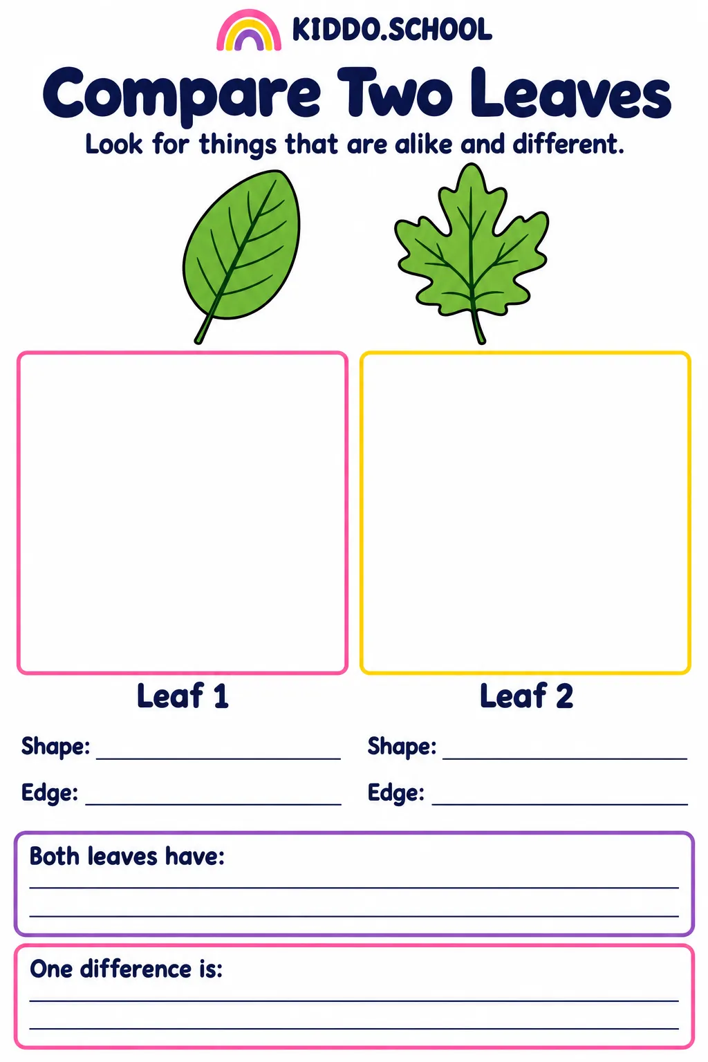 Preview of Compare Two Leaves