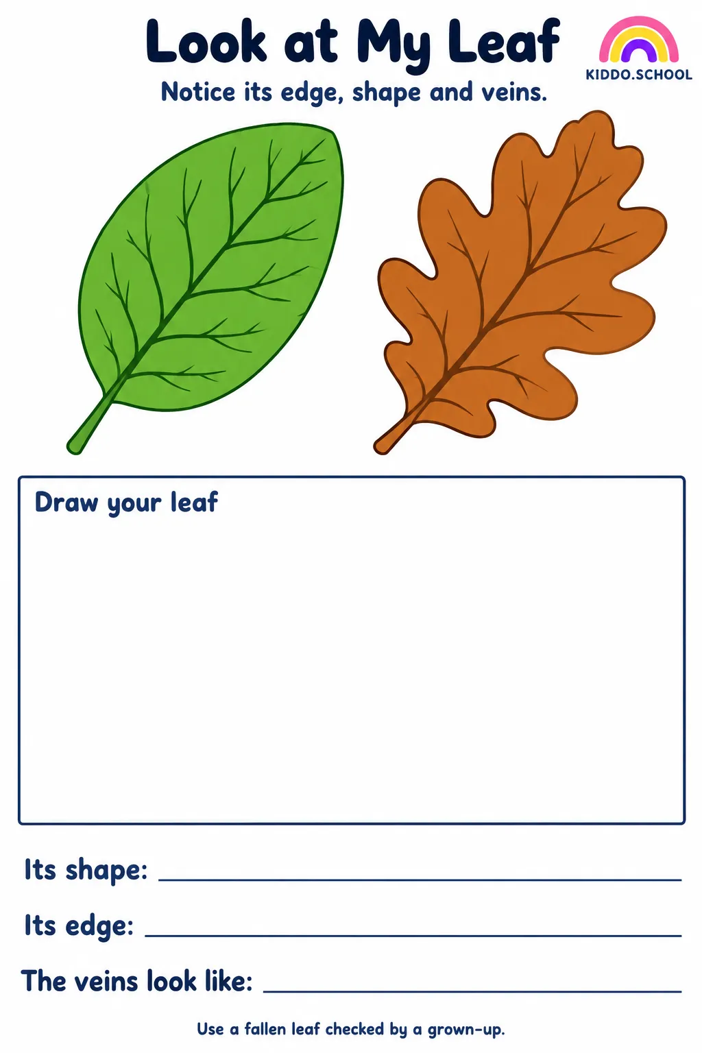 Preview of Look Closely at My Leaf
