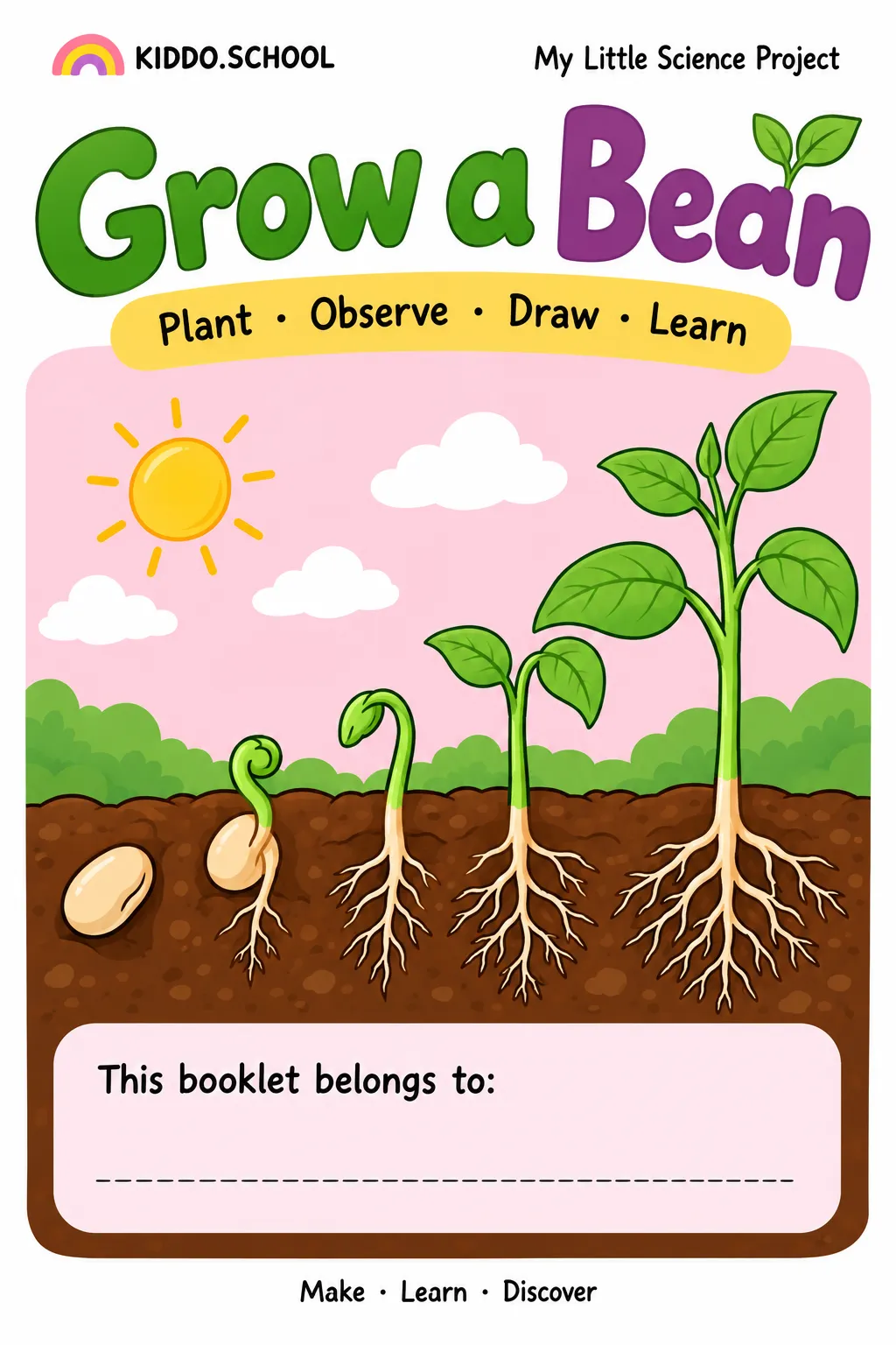 Illustration of a bean sprout with two green leaves and visible roots in a clear jar.
