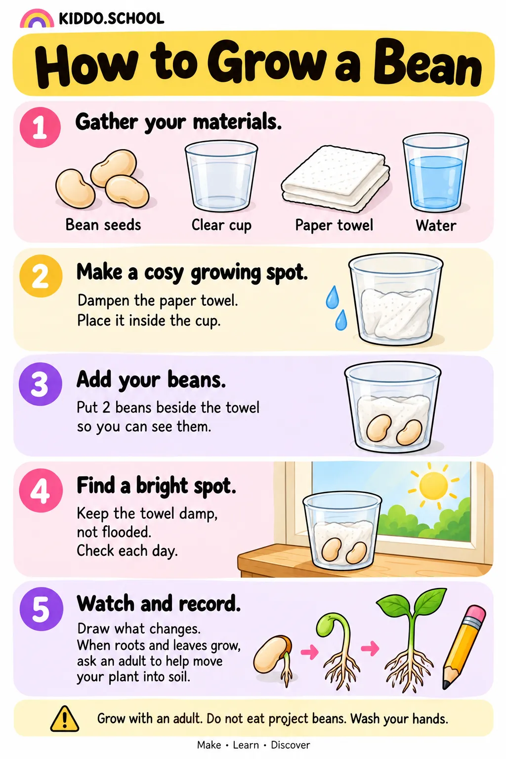 Preview of How to Grow a Bean