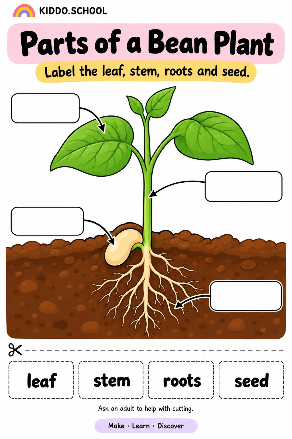 Preview of Parts of My Plant