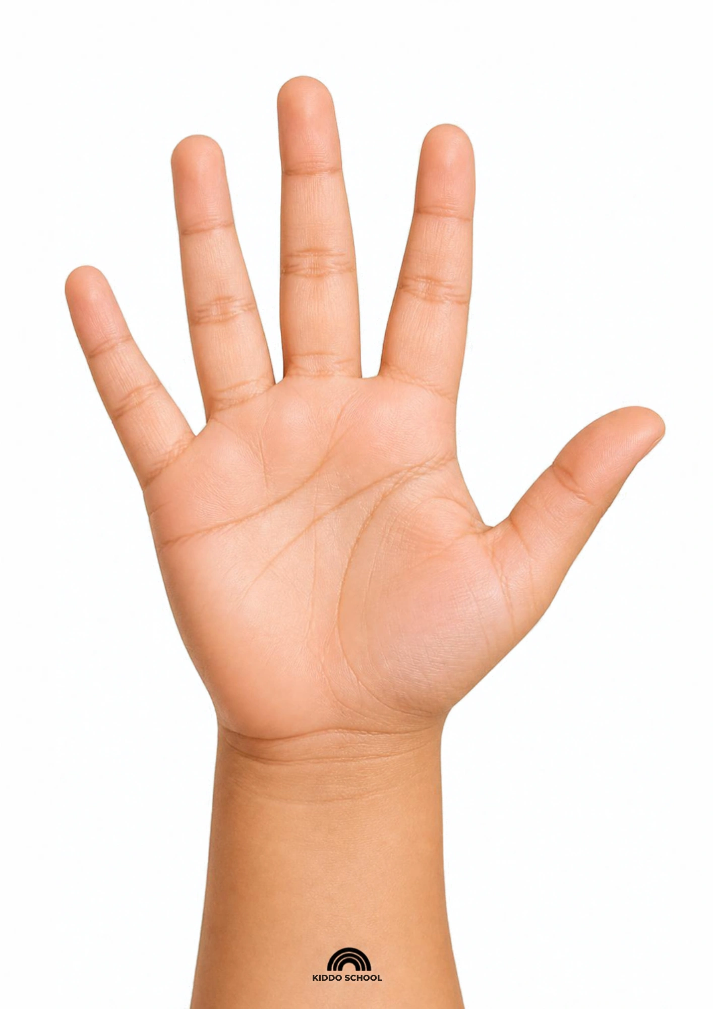 Open hand visual card for babies