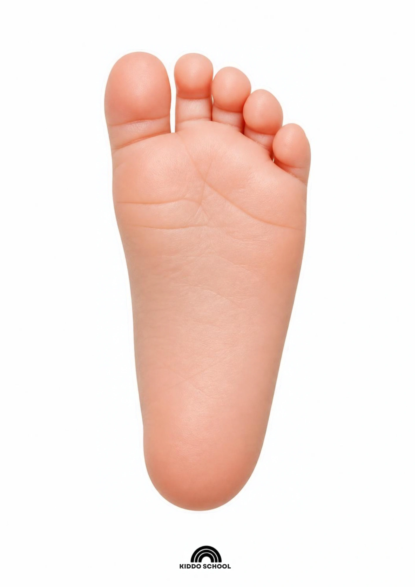 Baby foot visual card for babies