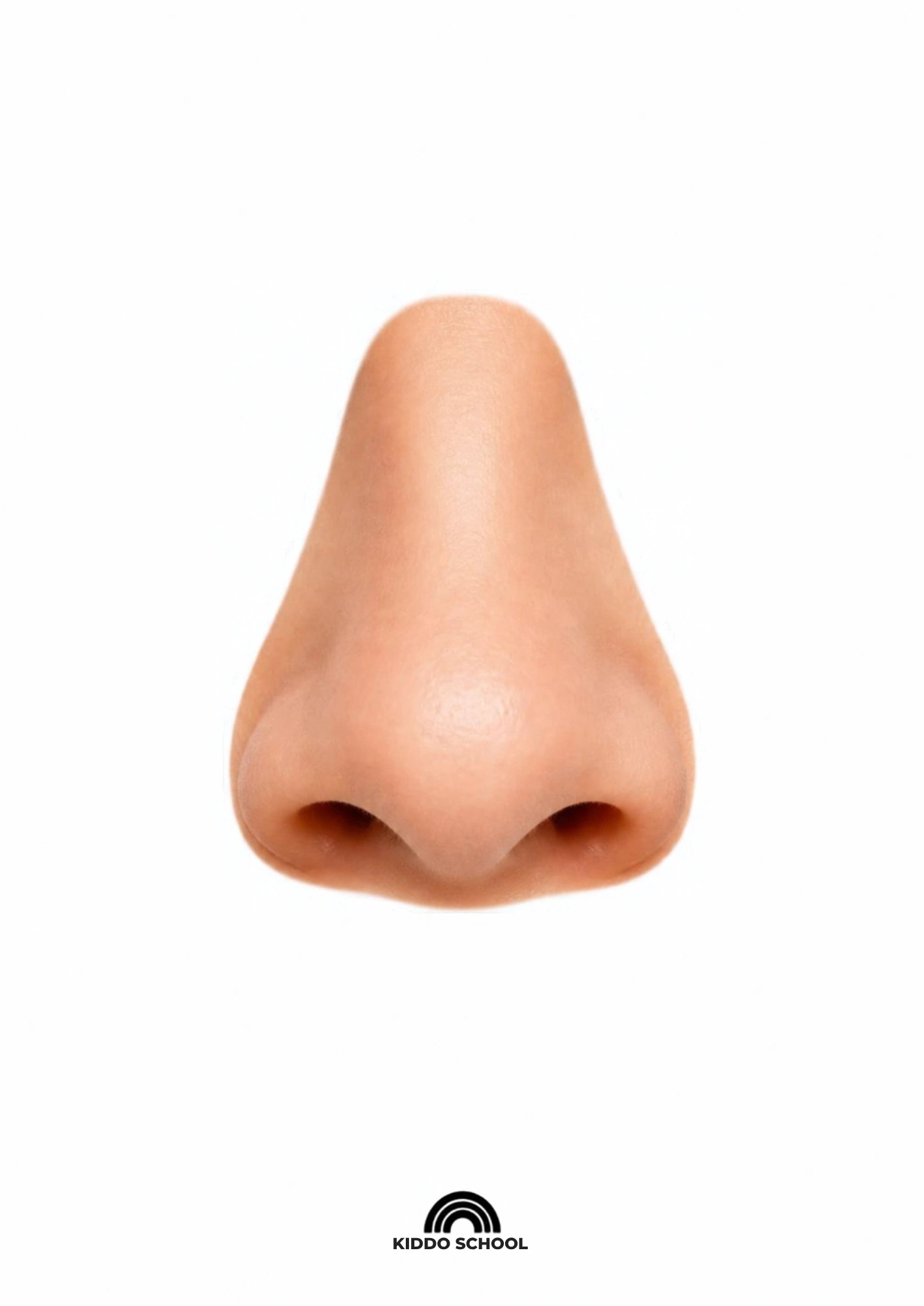 Nose visual card for babies