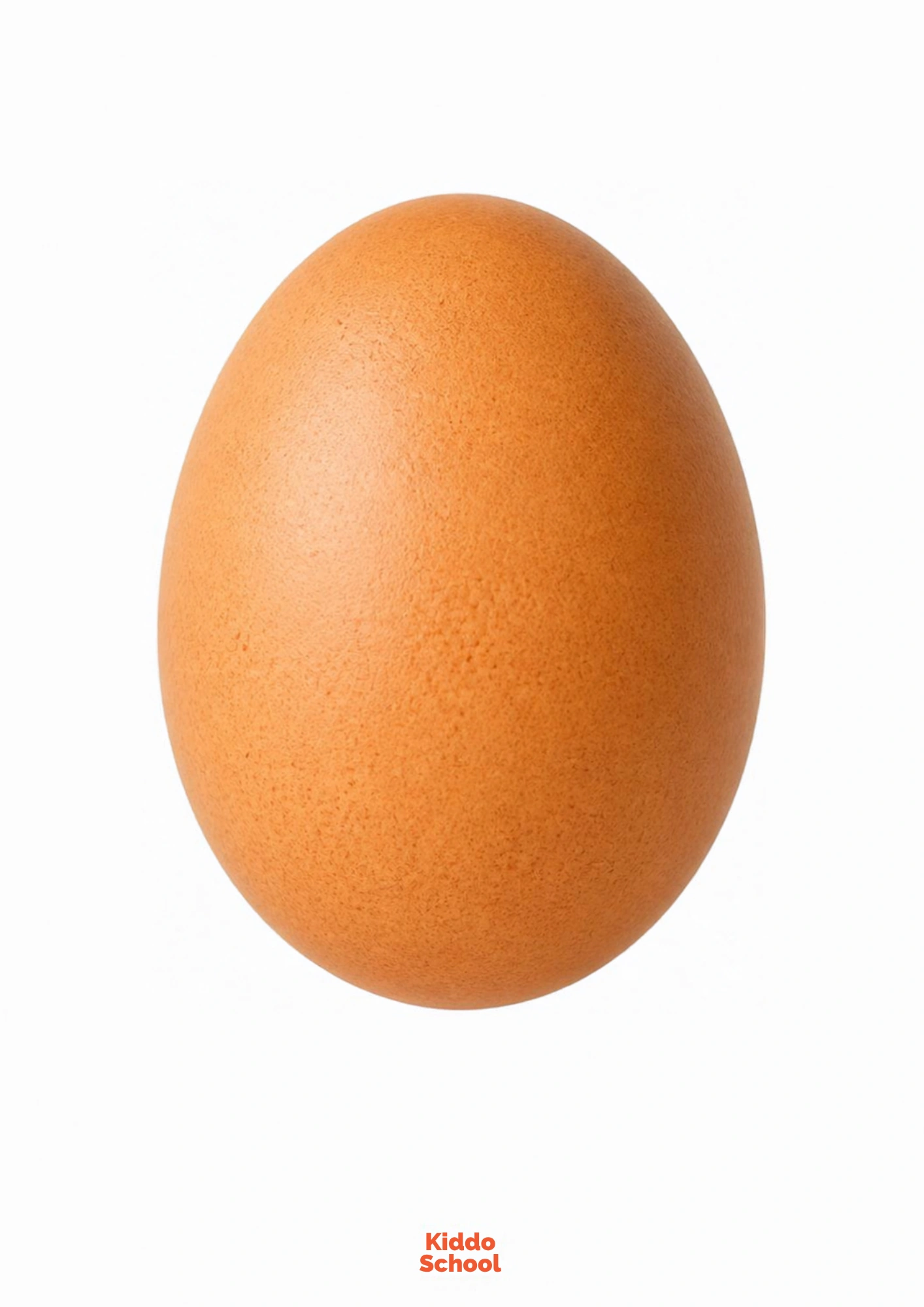 Egg flashcard for toddlers