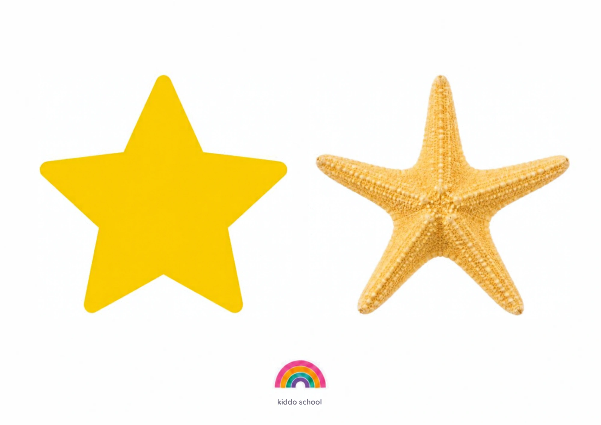 Star shape learning card for toddlers