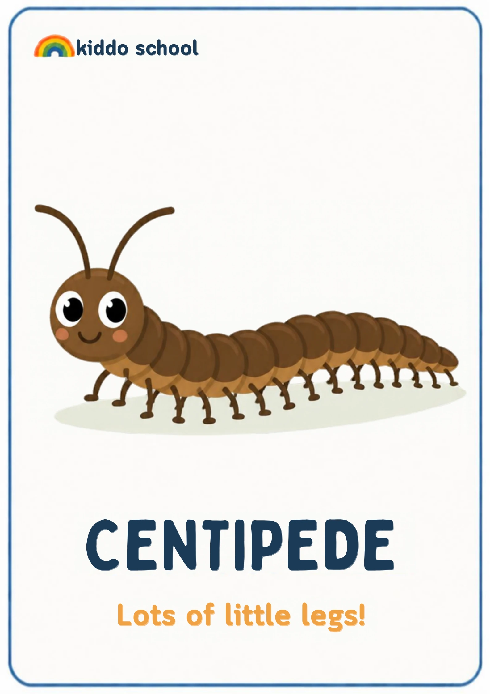 2D illustration of a long centipede with many legs