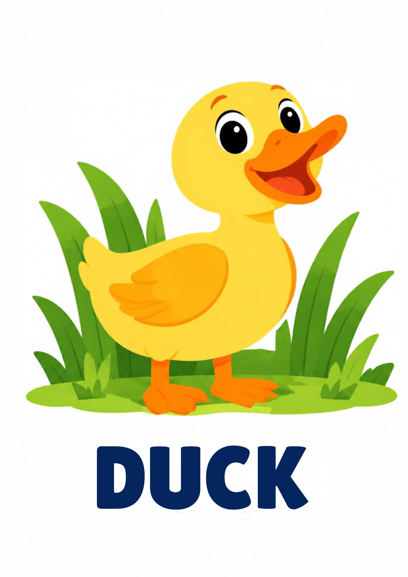 Duck picture card for toddlers