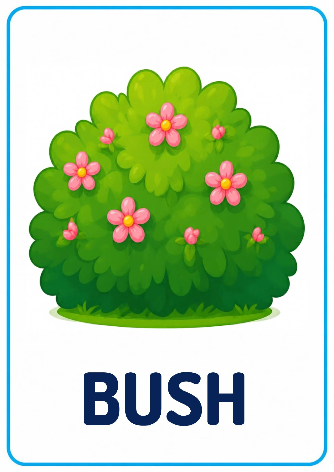 Bush picture card for toddlers