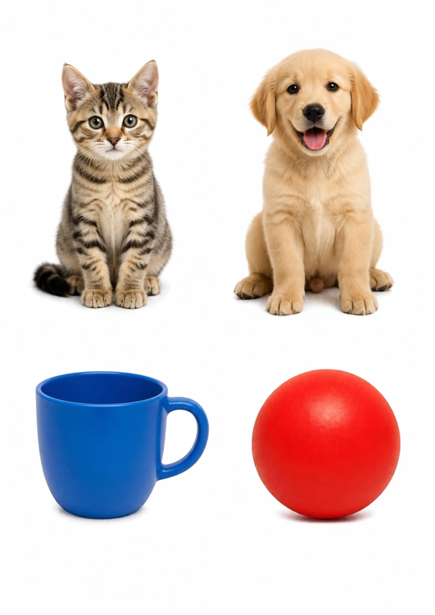 Cat, dog, cup and ball for a toddler grouping activity
