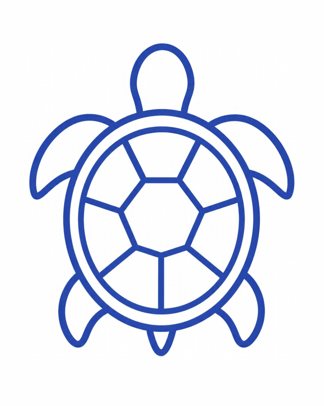 Object card for the letter T: the turtle as a bold flat-colour picture on a white card, from the Kiddo School alphabet