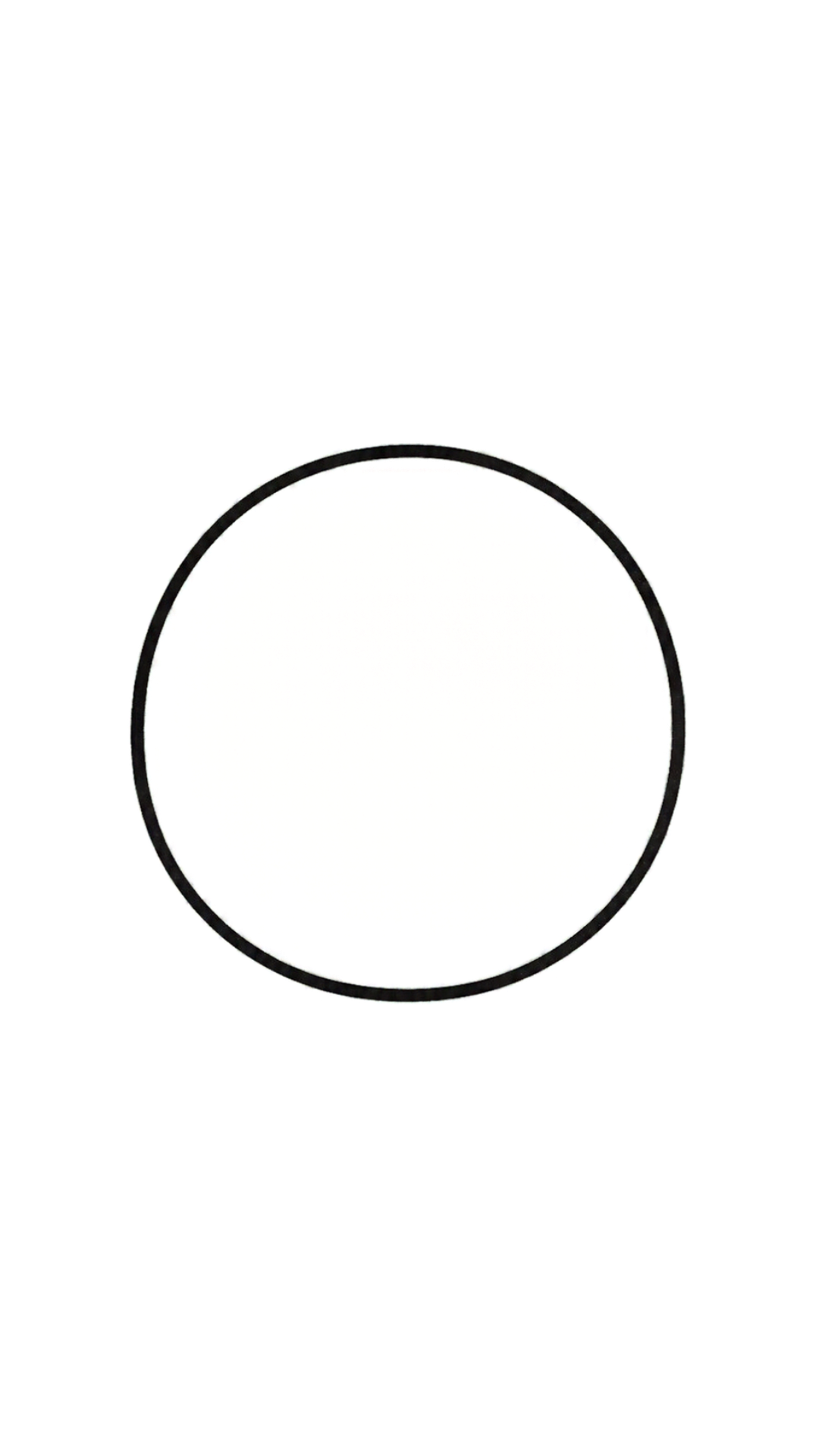 A large circle drawn with one thick dark pencil line.