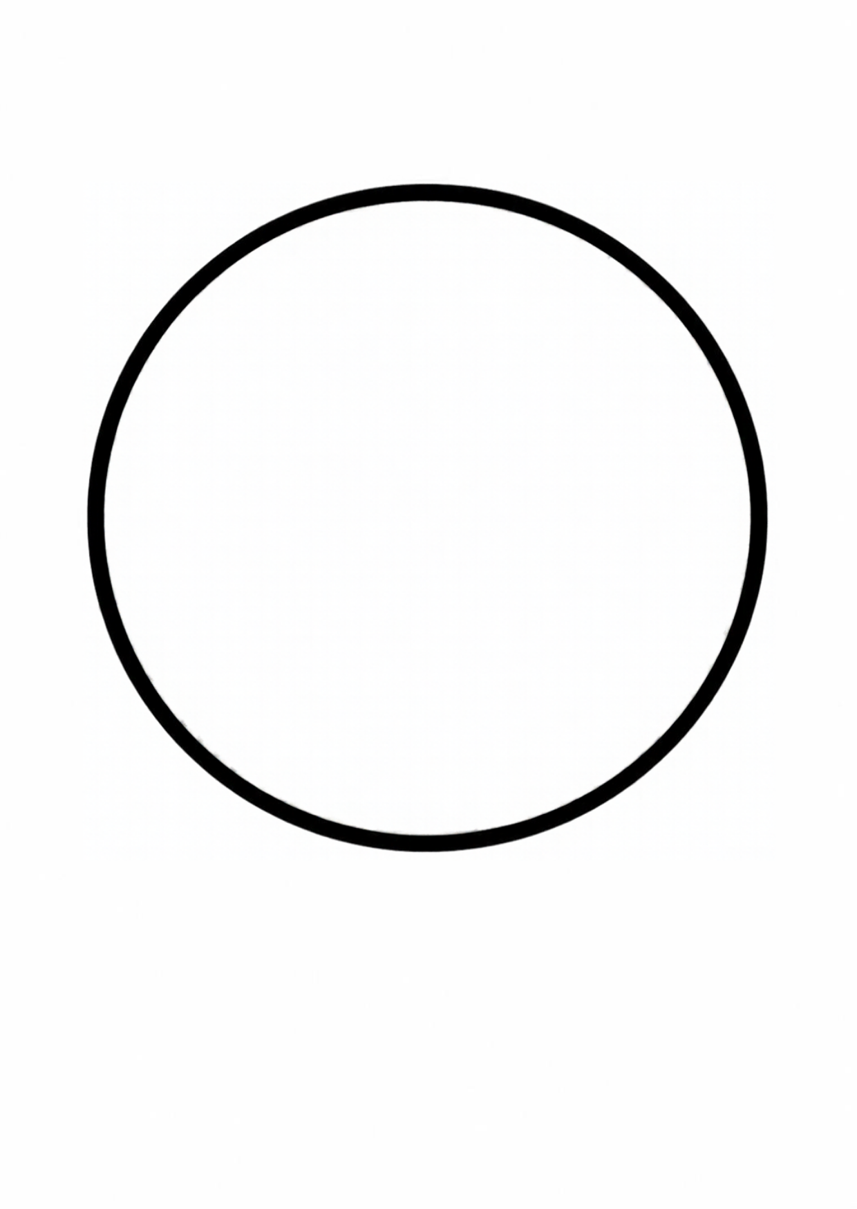 A big circle drawn with one thick dark pencil line.