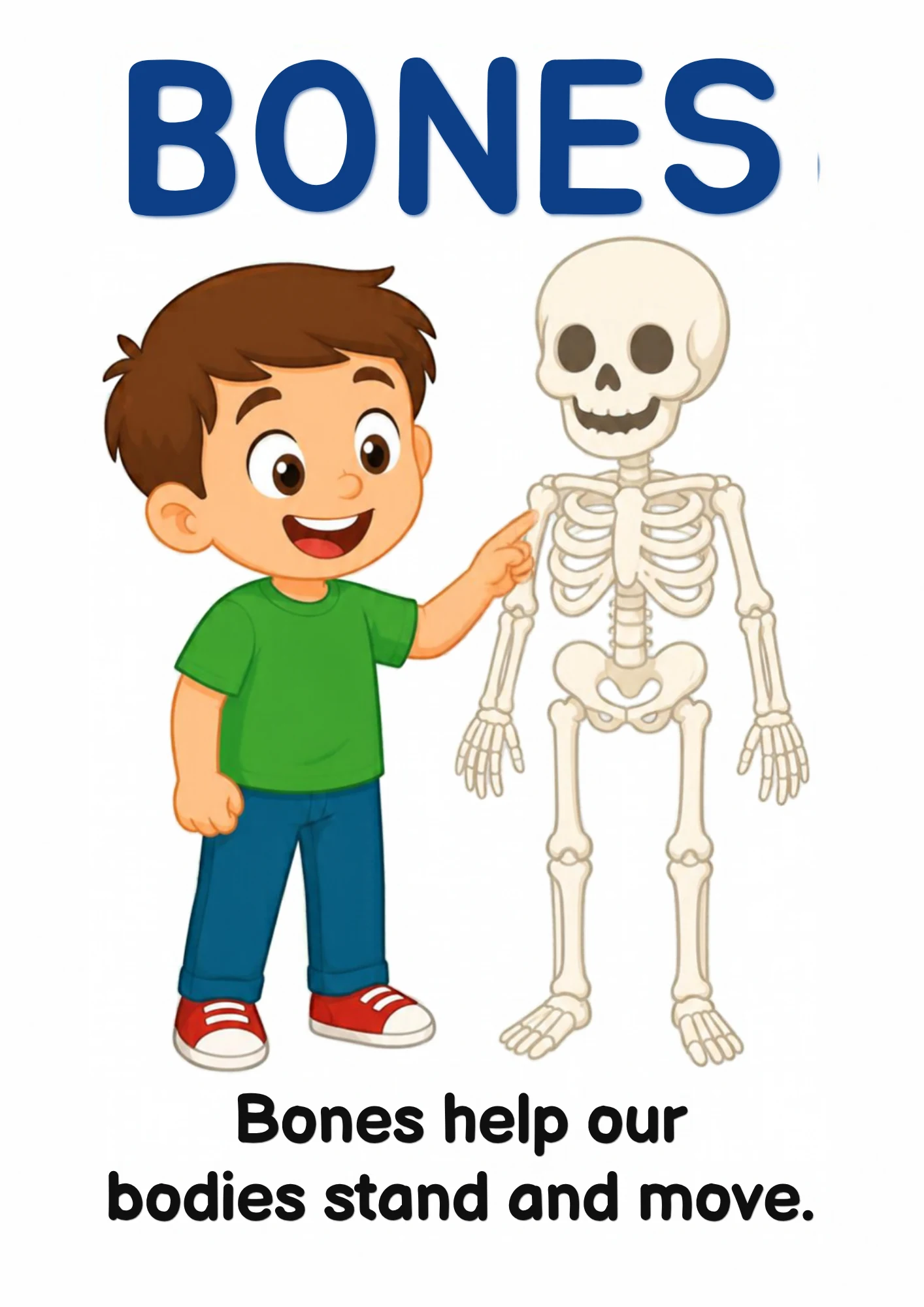 A science flashcard: a child standing beside a friendly skeleton, with the fact that bones help our bodies stand and move.