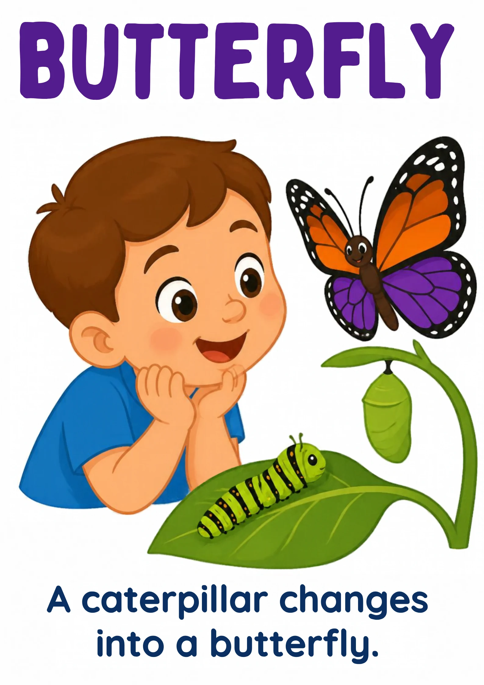 A science flashcard: a child watching a caterpillar, a chrysalis and a butterfly on a leaf, with the fact that a caterpillar changes into a butterfly.