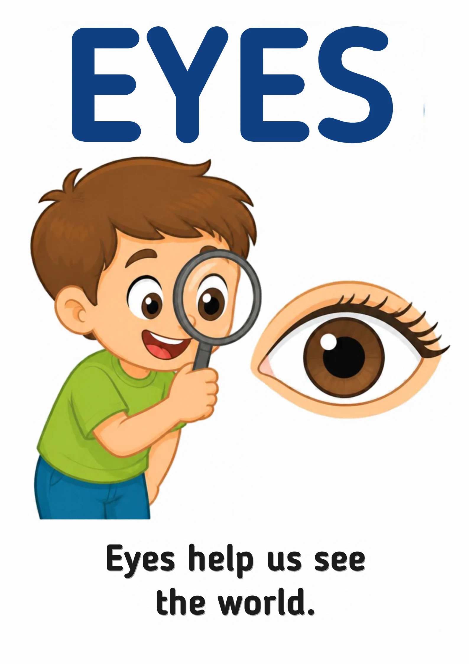 A science flashcard: a child holding a magnifying glass up to a big eye, with the fact that eyes help us see the world.