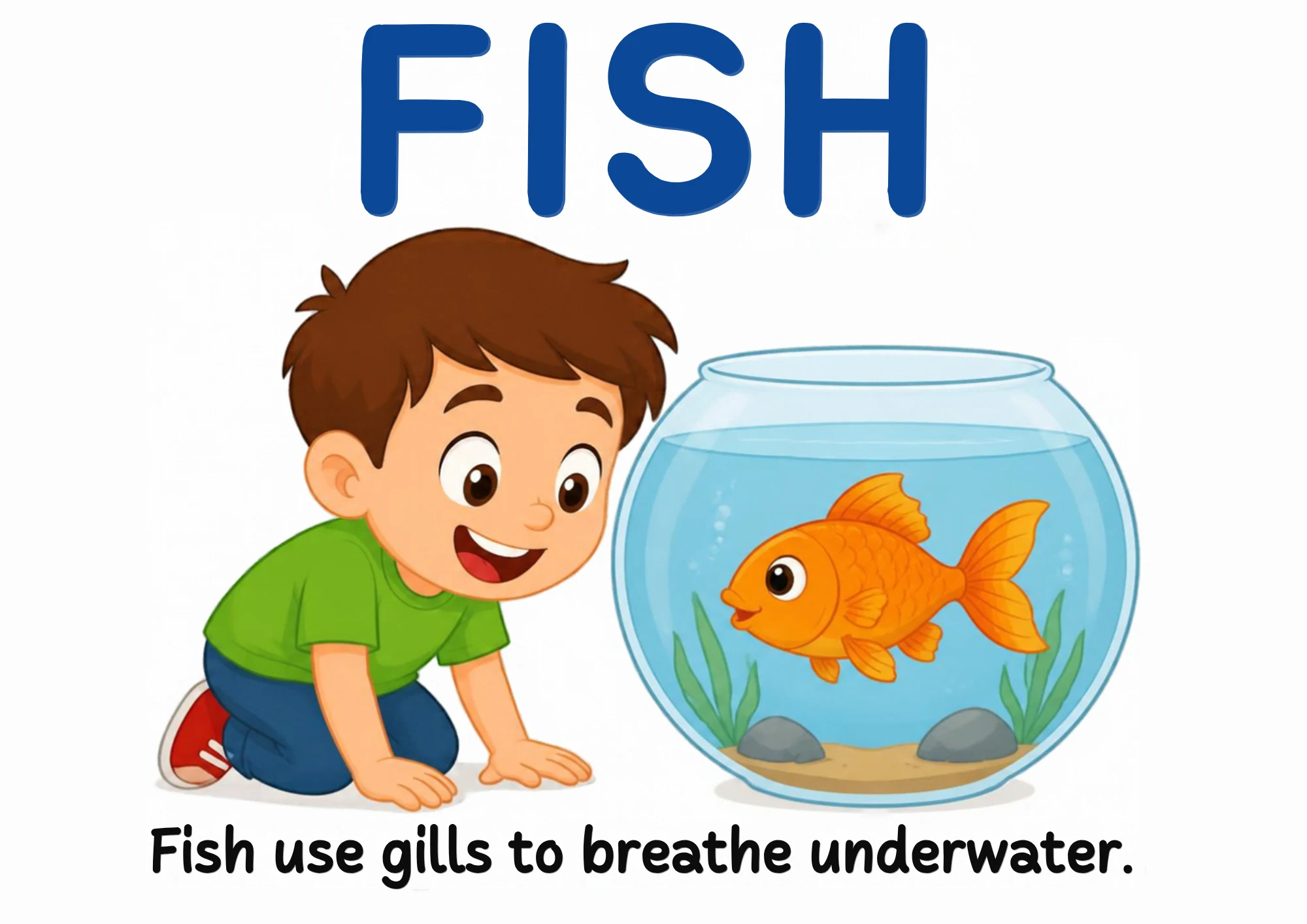 A science flashcard: a child peering at a goldfish in a bowl, with the fact that fish use gills to breathe underwater.