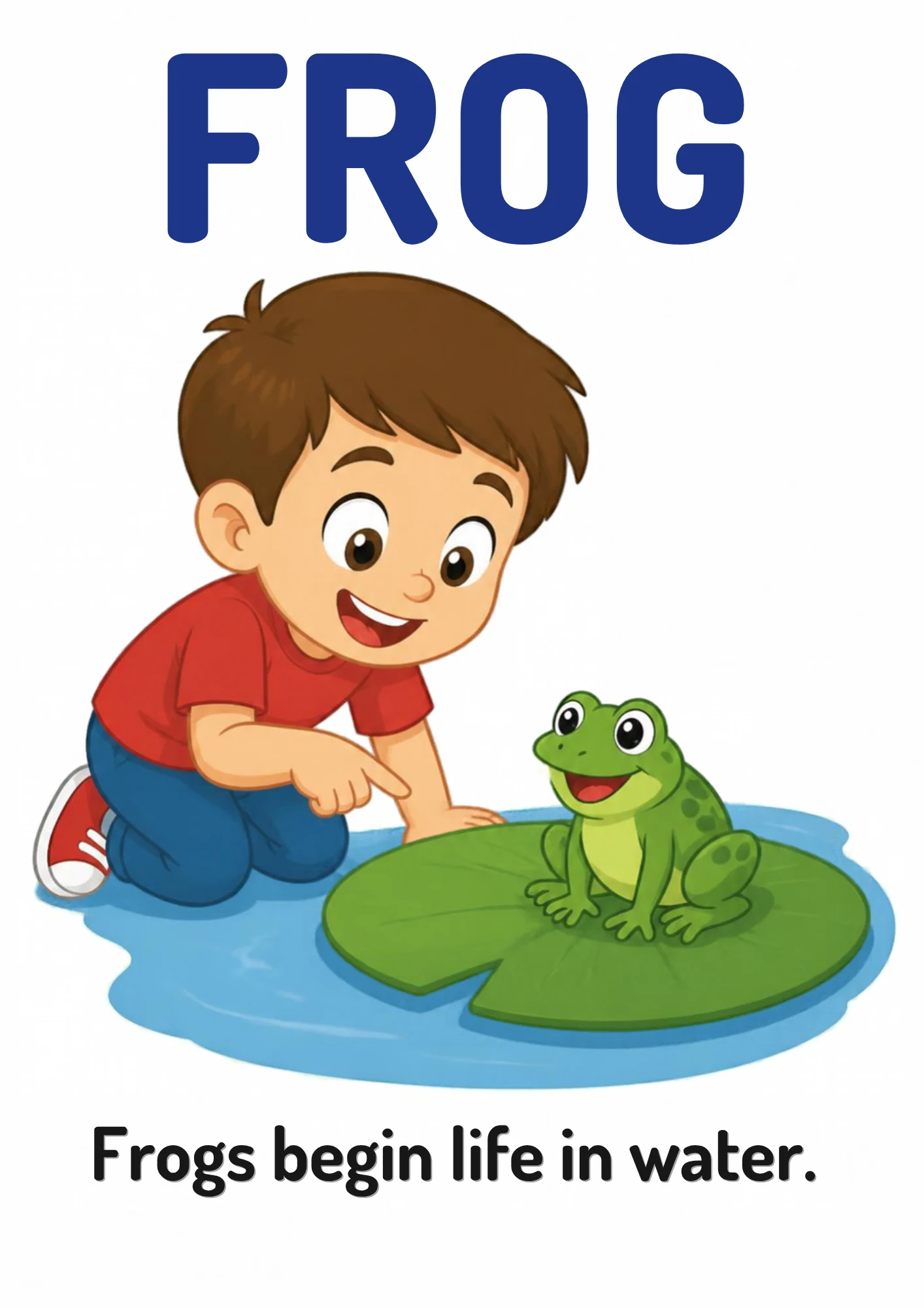 A science flashcard: a child watching a frog on a lily pad in a pond, with the fact that frogs begin life in water.