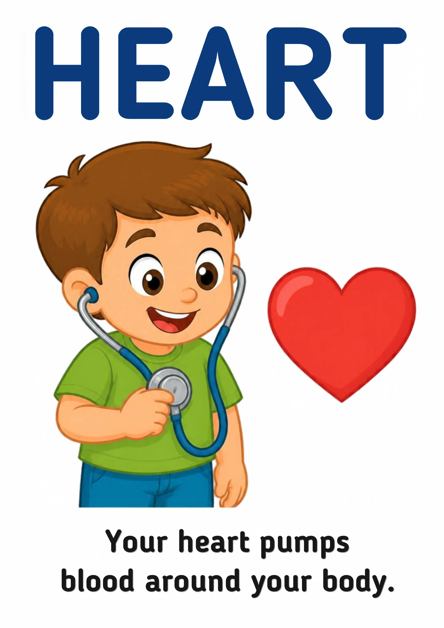 A science flashcard: a child listening to a red heart with a stethoscope, with the fact that the heart pumps blood around the body.