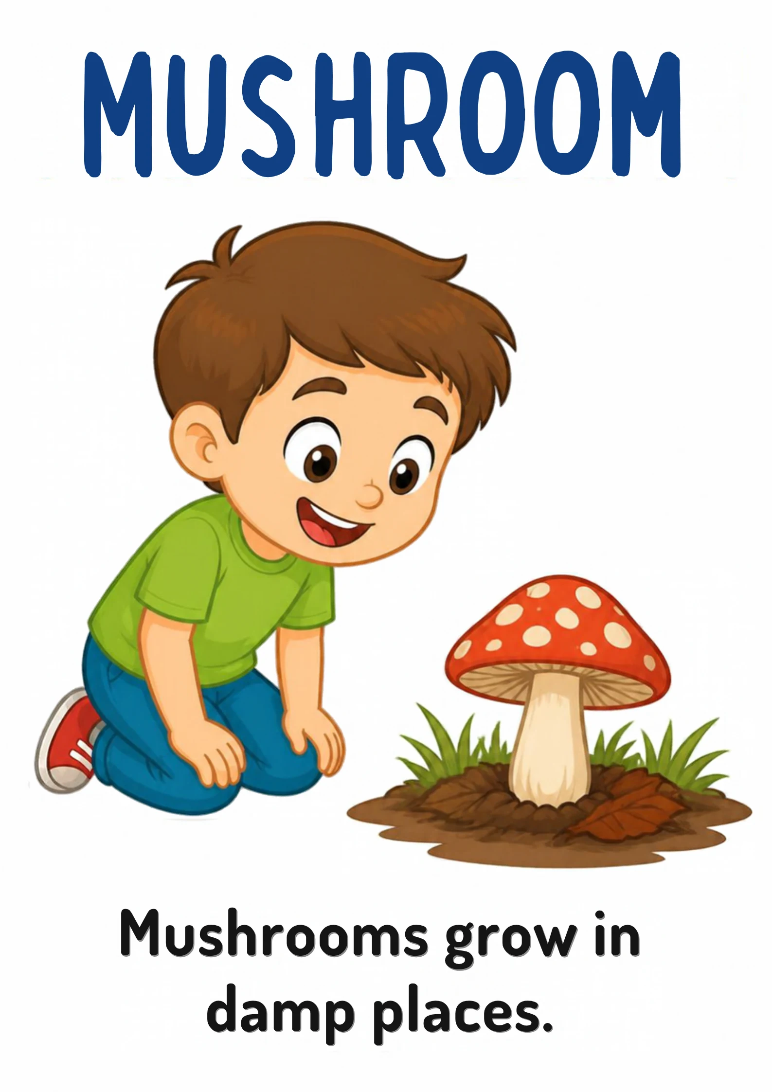A science flashcard: a child crouching beside a red-capped mushroom in grass, with the fact that mushrooms grow in damp places.