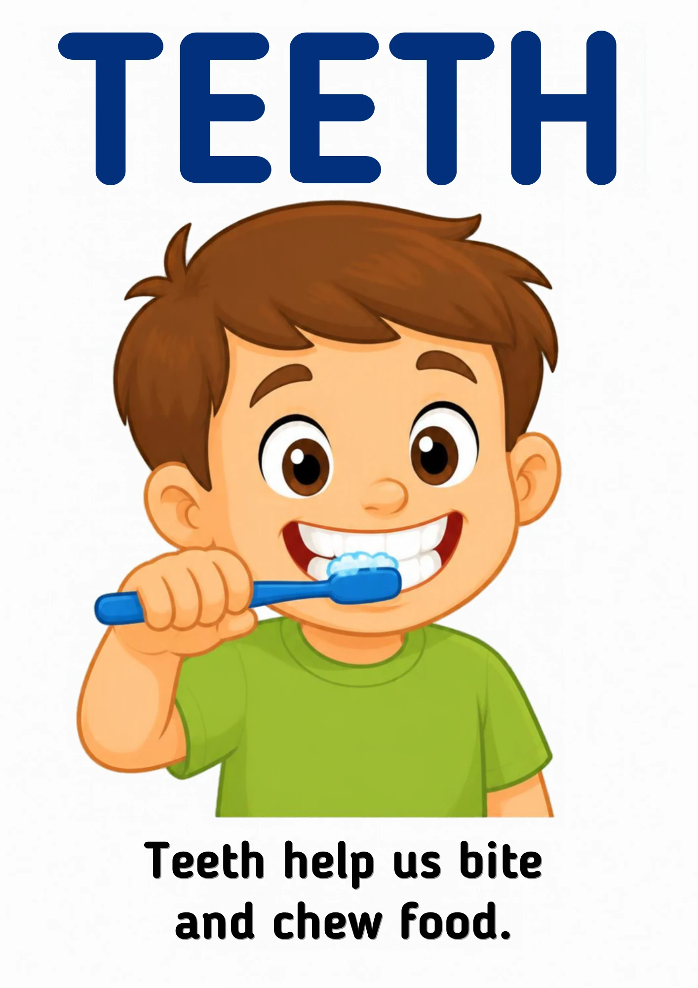 A science flashcard: a smiling child brushing big teeth, with the fact that teeth help us bite and chew food.