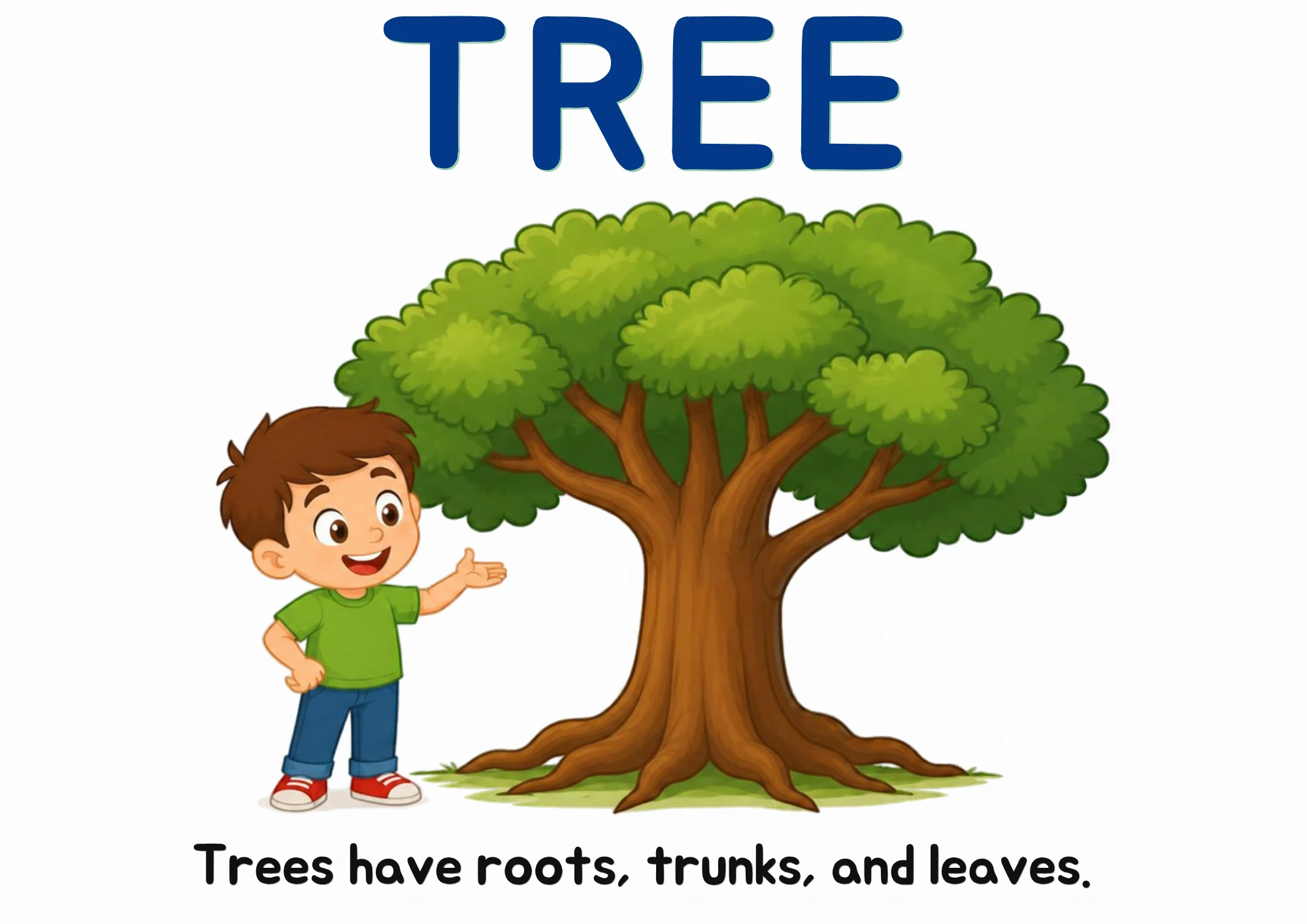 A science flashcard: a child standing beside a big leafy tree, with the fact that trees have roots, trunks and leaves.