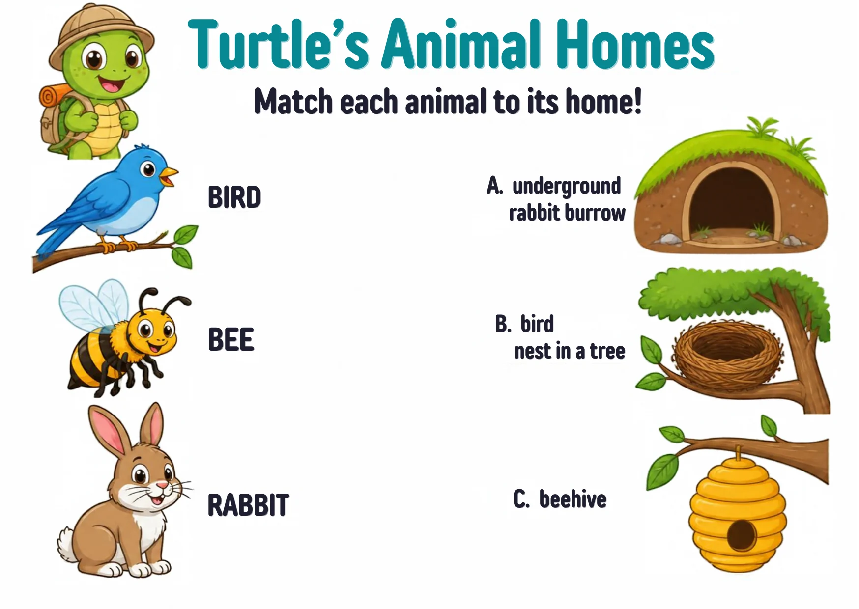 Three animals — a bird, a bee and a rabbit — beside three homes: an underground rabbit burrow, a bird nest in a tree, and a beehive.