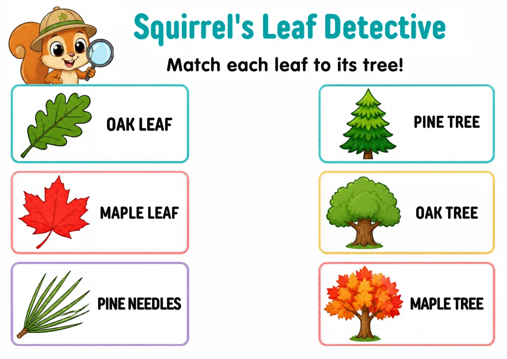Three leaves — an oak leaf, a maple leaf and pine needles — beside three trees: pine, oak and maple.