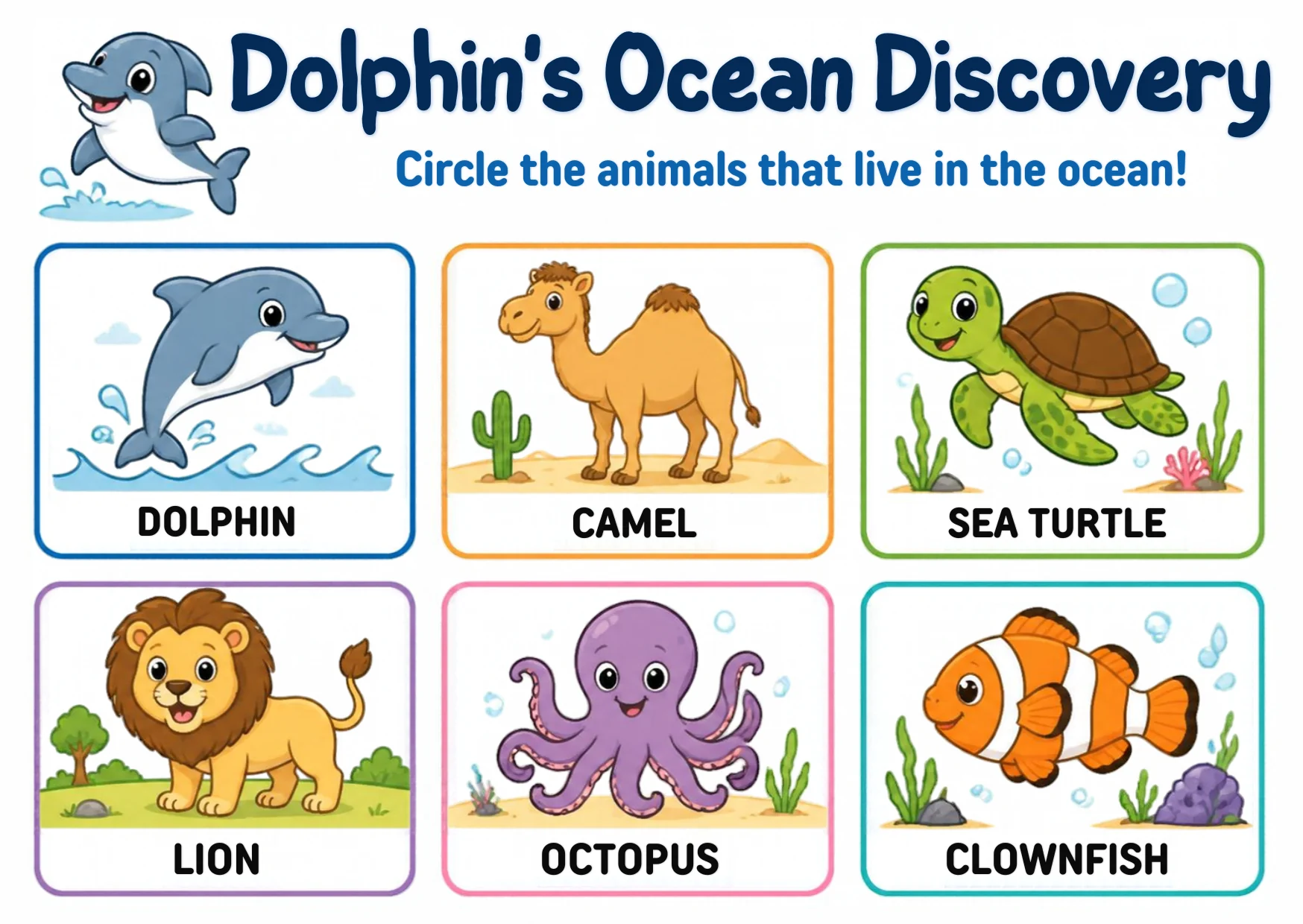 Six animal cards: dolphin, camel, sea turtle, lion, octopus and clownfish.