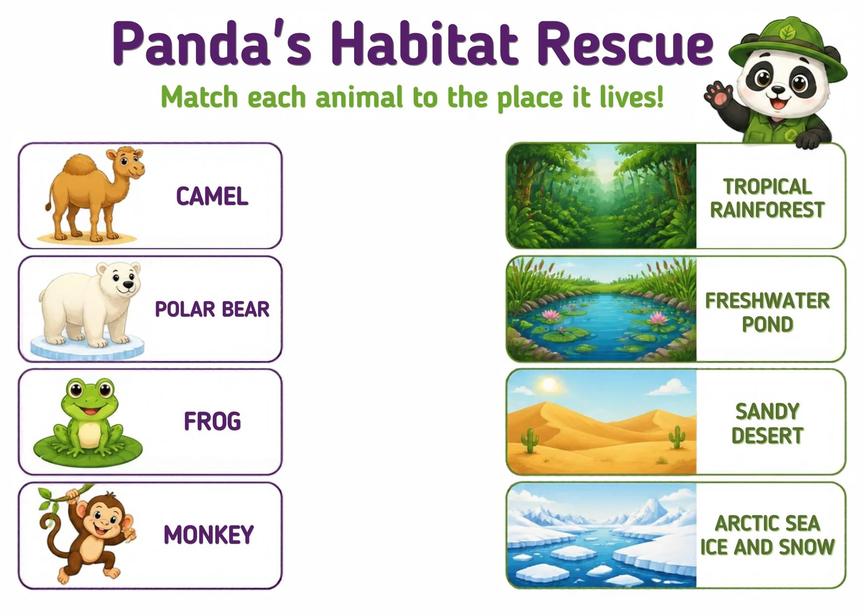 Four animals — a camel, a polar bear, a frog and a monkey — beside four places: a tropical rainforest, a freshwater pond, a sandy desert, and arctic sea ice and snow.