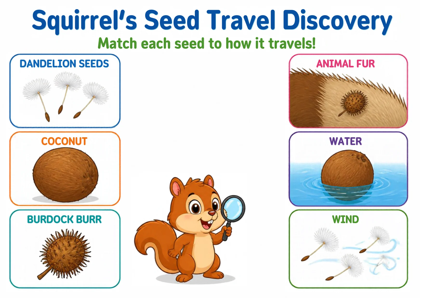 Three seeds — dandelion seeds, a coconut and a burdock burr — beside three travel cards: animal fur, water, and wind.