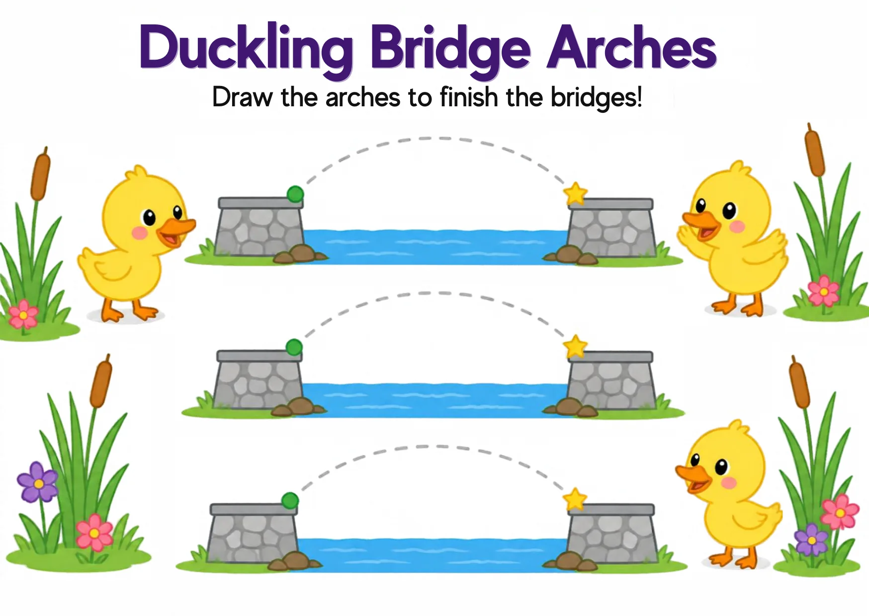 Three ponds with ducklings and dashed semicircular bridge arches to trace.